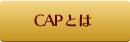 CAP�Ƃ�